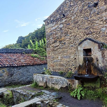 Aldeia Do Sanguinho 호텔 Faial da Terra 외부 사진